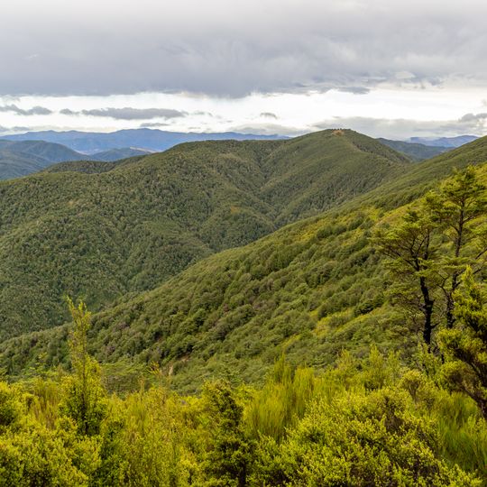 Mount Thomas Forest Conservation Area