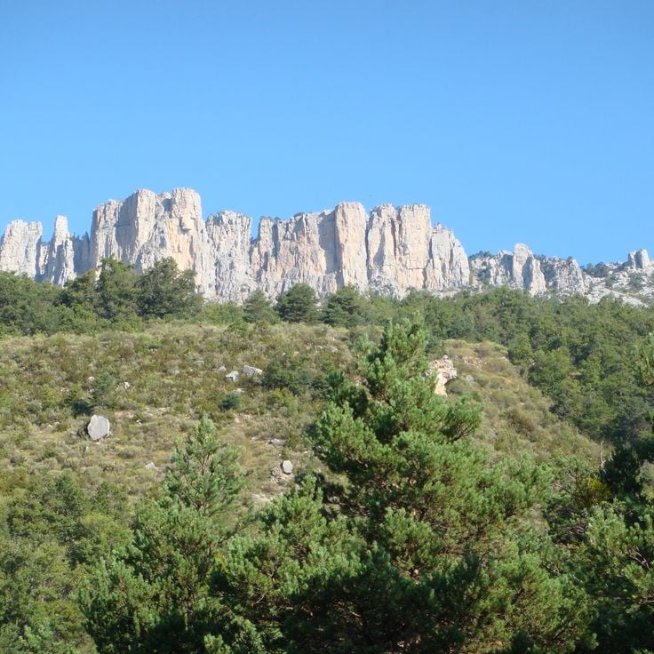 Cadières de Brandis