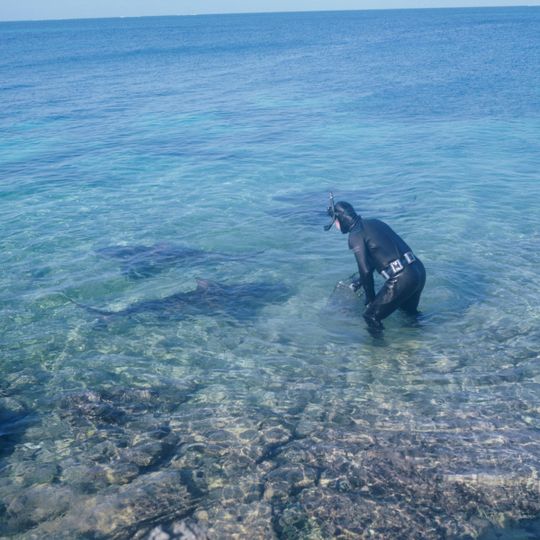 Walker's Cay