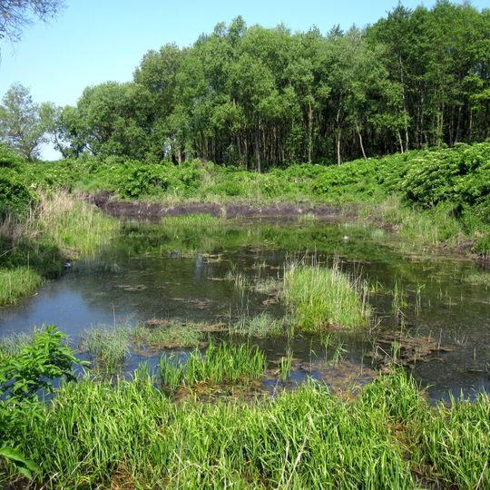 Turijski sources, Movchaniv