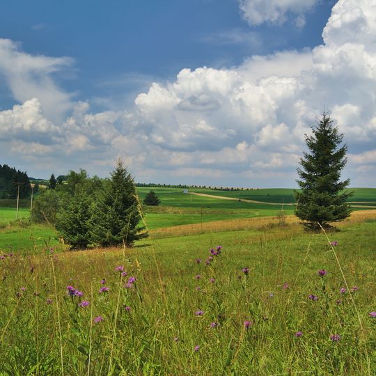 Stráň nad Huťským potokem