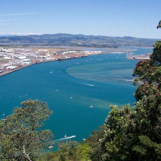 Ngāti Pūkenga
