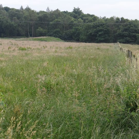 Bowl barrow on Calton Pastures, 1200m west of Calton Houses