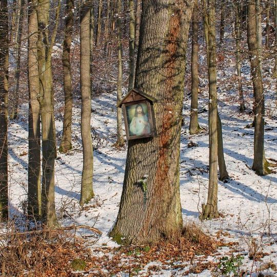 Obrázek u Kadeřína na okraji lesa