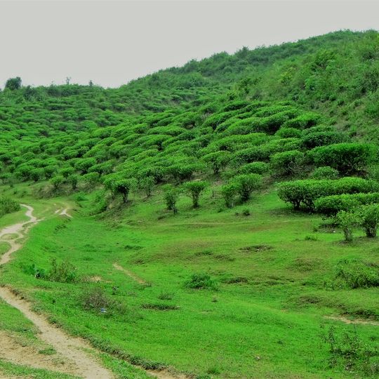 Parco nazionale di Khadimnagar