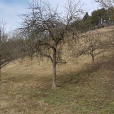 Wasserschutzgebiet Schweigern