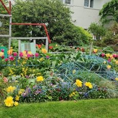 Parc Louis Rouquier