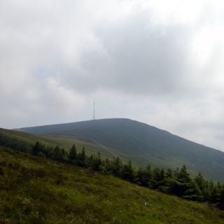 Mount Leinster