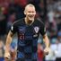 Domagoj Vida
