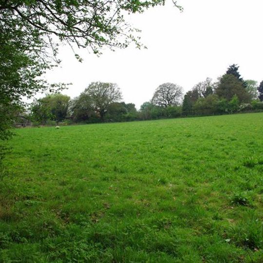Horndon Meadow
