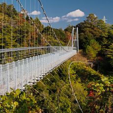 静岡県立森林公園