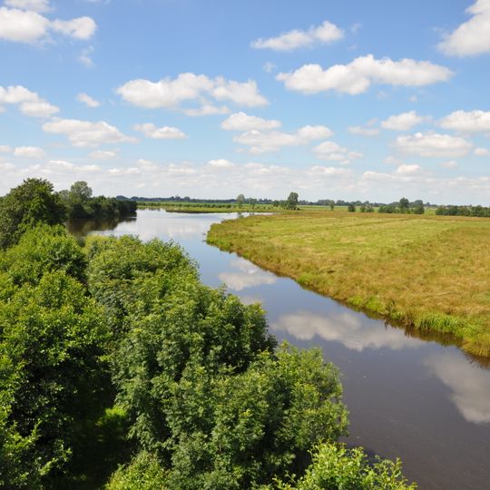 Natuurgebied Willeskop