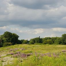Millingerwaard