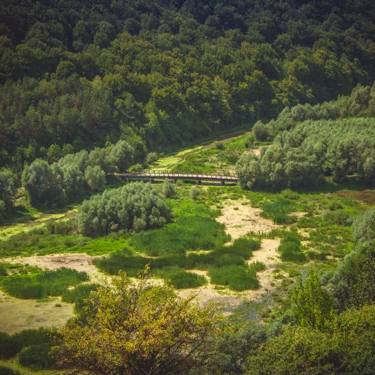 Kytaihoroskyi Forest
