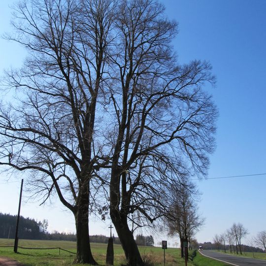 Lípy u křížku
