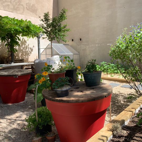 Jardin partagé pédagogique La Pinède