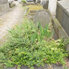 Grave of Unidentified11