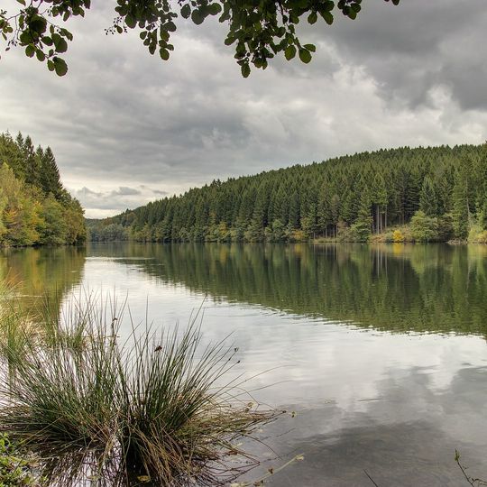 NSG Grosse Dhuenntalsperre