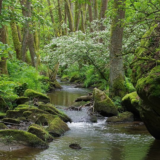 Lerautal bei Leuchtenberg