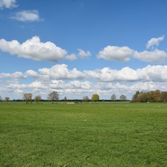 Winselmoor/Hörnerau-Niederung