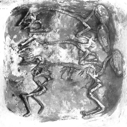 Pferdebestattung von Wulfsen