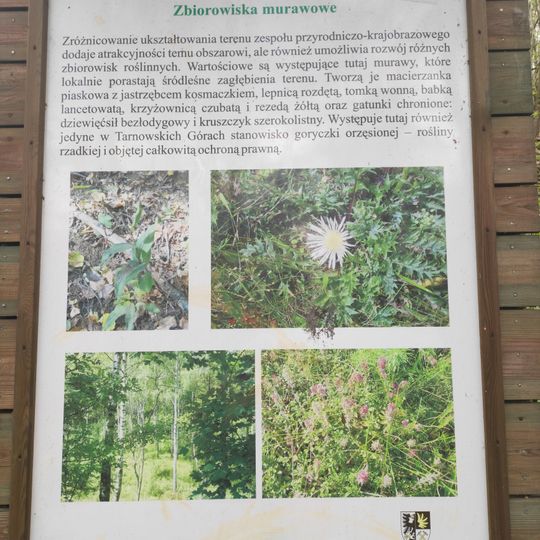 Ścieżka przyrodniczo-dydaktyczna „Doły Piekarskie“