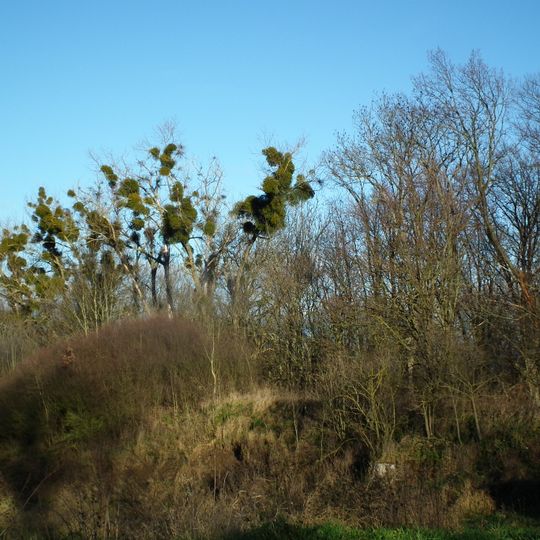 Nature reserve Las Mątawski