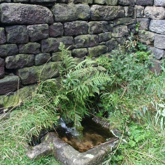 Plunge bath to south of Stones House in ground