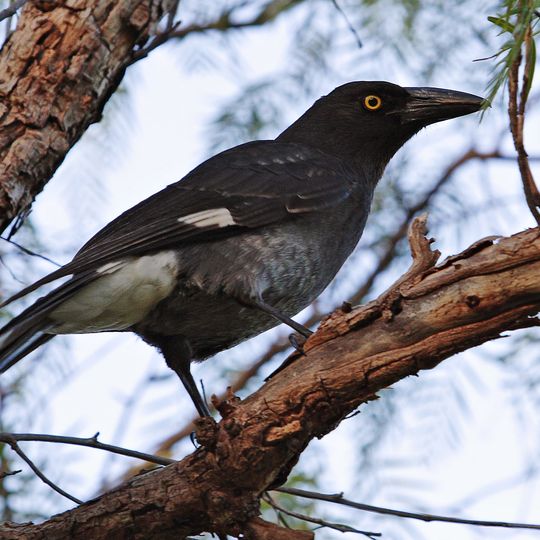 Beeron National Park
