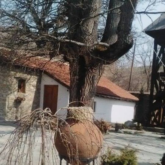 Monastery of Saint Panteleimon in Lepčince