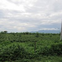 district de Jalpaiguri