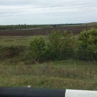 Aktanyshsky District