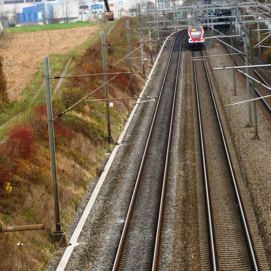 Moosweg, neolithisches Grab