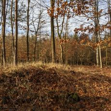 Slovanský mohylník