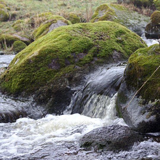 Svenstorp-Bolshus fälad
