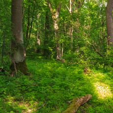 Kovačská bažantnice