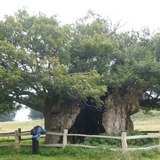 Koningin Elizabetheik