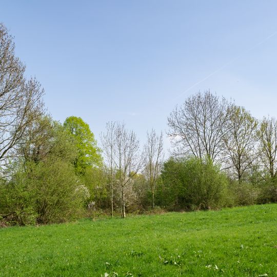 Hecken-Grünlandkomplex südöstlich Horn
