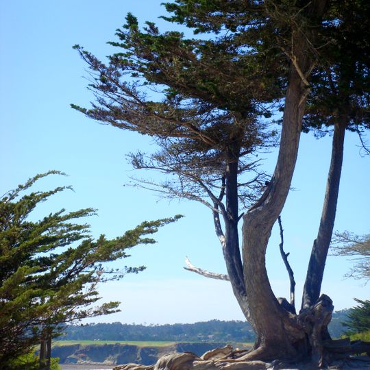 Carmel-by-the-Sea