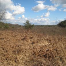 Mechelse heide en vallei van de Ziepbeek