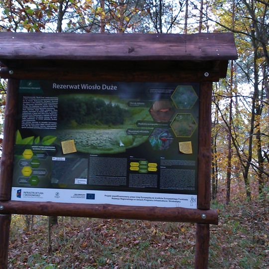 Rezerwat przyrody Wiosło Duże