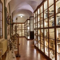 Museo di storia naturale dell'Accademia dei Fisiocritici
