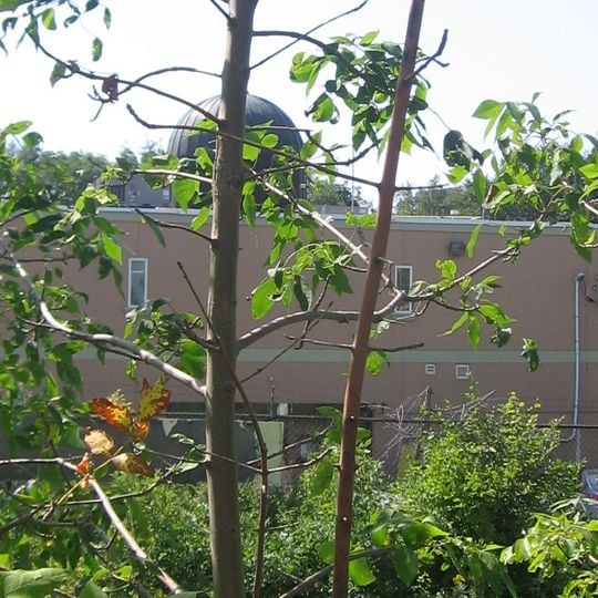 Salaheddin Islamic Centre