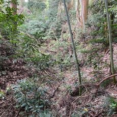 酒蔵城