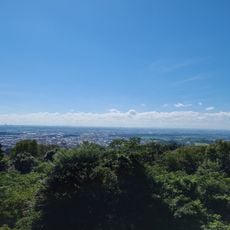 Hasugesan'ikoinomori