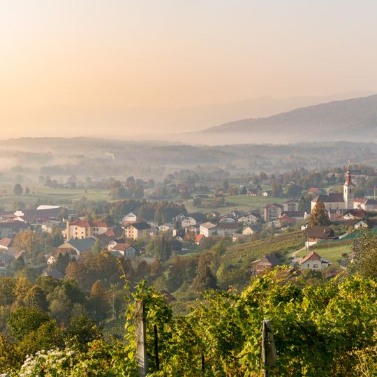 Municipality of Semič