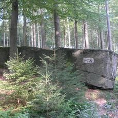 Lange Steine NW von Riedenberg