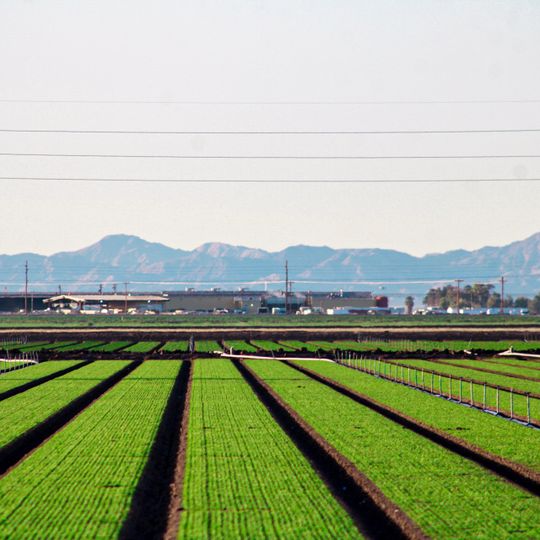Imperial Valley