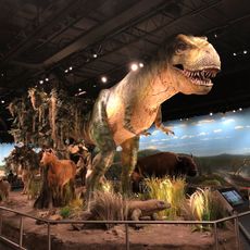 ICR Discovery Center