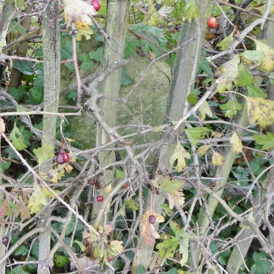 Milestone, Romsey Road, Maybush